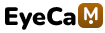 enugustateagile.com